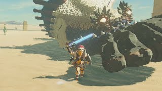 Fully Powered Master Sword DESTROYS MolduKing  Zelda Breath of the Wild [upl. by Fayette]