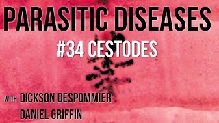 Parasitic Diseases Lectures 34 Cestodes [upl. by Irmine]