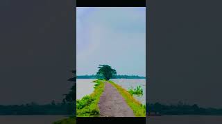 তুই যদি আমার হইতি রে  কস্টের গান  Tui jodi amr hoiti re [upl. by Leima]