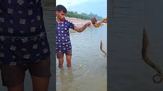 Chota jaal badi machli ka sikar fishhunting2 fishing machlipakadna fish machlipalankatarika [upl. by Koressa]