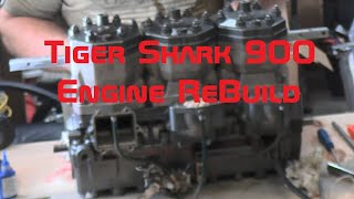 TigerShark 900 Jet Ski Engine Rebuild [upl. by Acul]