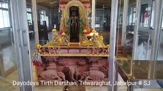 Dayodaya Tirth Darshan Tilwara Ghat Jabalpur Darshan [upl. by Airamana588]