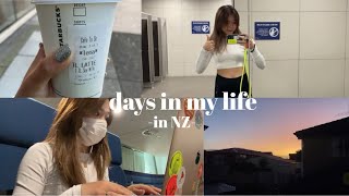 【Vlog】海外大学生の日常in オークランド NZ留学 [upl. by Agostino]