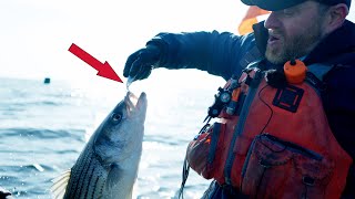 Best Jigging Spoons for Striped Bass Fishing [upl. by Weiman]