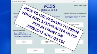 Using VCDS to prime a TDI fuel system after fuel filter replacement [upl. by Neyut392]