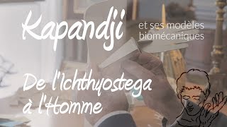 A Kapandji de lichthyostega à lHomme de la nageoire au membre supérieur [upl. by Yert]