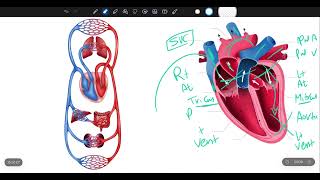 Symptomatology in Pediatrics [upl. by Danforth]