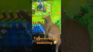 My kitty loves links awakening 😆 nintendoswitch linksawakening nostalgia gaming childhood [upl. by Eboh998]