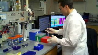 how to do a pcr reaction with DMSO using a master mix [upl. by Burtie132]