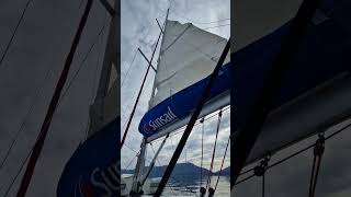 Silicone spray lubricated mainsail sliders This is how it should work [upl. by Balch760]