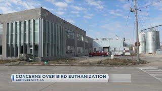 Concerns Over Bird Euthanization [upl. by Arde]