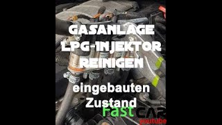 LPG Gasinjektoren reinigen  Gasanlage ohne Funktion  Injektoren eingebaut reinigen ANLEITUNG [upl. by Annoed]