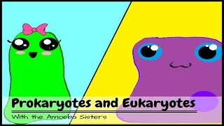 OLD VIDEO Prokaryotes and Eukaryotes [upl. by Pavla]