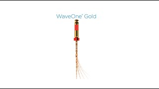 WaveOne Gold the full protocol [upl. by Ldnek]