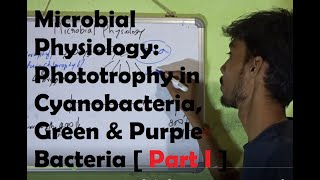 Microbial Physiology Phototrophy in Cyanobacteria Green and Purple Bacteria Part I [upl. by Netsreik]