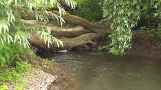 Craig Copeland visits Arborfield ByPass Channel  July 2013 [upl. by Aiekat]