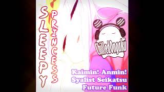 Sleepy Princess Groove  Anime Groove  Kaimin Anmin Syalist Seikatsu  ChilledOngaku [upl. by Durwood992]