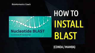 How to Install BLAST in Linux using Conda  Mamba  NCBI BLAST Tutorial [upl. by Acenom]