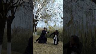 Do you know Qingcheng martial arts and Lulin martial arts kungfu martialarts cool funny [upl. by Pokorny390]