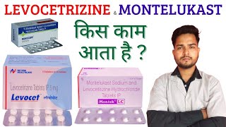 Levocetrizine hydrochloride and Montelukast tablet uses in Hindi  Wellness Gallery [upl. by Gnauq]