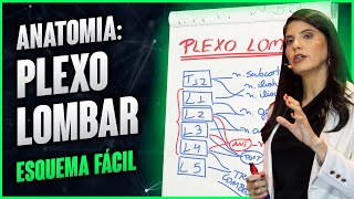 ANATOMIA PLEXO LOMBAR esquema fácil  Dra Walkyria Fernandes [upl. by Mastic117]