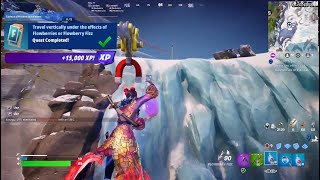 Fortnite  Travel Vertically Under The Effects Of Flowberries Or Flowberry Fizz WEEK 10 Challenges [upl. by Eerac]