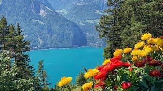 Flüelen  Lake Lucerne Uri Canton Switzerland [upl. by Bascio]