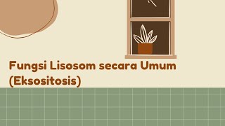 Fungsi Lisosom secara Umum Eksositosis [upl. by Aronal]