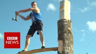 Lumberjack championships Log roll or springboard chop BBC News [upl. by Jar664]