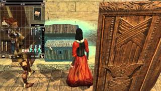 Lets Play Neverwinter Nights 038 Meldanens Estate [upl. by Yrrak]