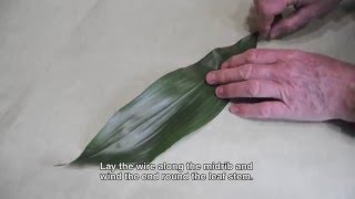 Instruction video  Strengthening flowers Wiring a Aspidistra leaf [upl. by Litman]