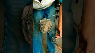 The Most Filthy Hooves Ever – Watch This Insane Transformation hoofcleaning hoof horsecare [upl. by Ataynek]