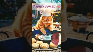 Cat doing household chores bandeya re bandeya song bandeyarebandeya song workingcatsfunnycats [upl. by Einahpad]