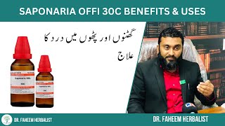 Saponaria Offi 30C BENEFITS amp USES  Dr Fahim Herbalist [upl. by Aineg]