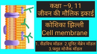 कोशिका झिल्ली lCell Membrane l Fluid Mosaic Model Sandwitch Model by Ajeet Sir myvillagemyacademy [upl. by Nivel]