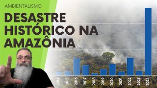 ÍNDICE de DEVASTAÇÃO da AMAZÔNIA atinge RECORD HISTÓRICO em 2024 com DESCASO e HIPOCRISIA de LULA [upl. by Arekahs915]