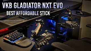 The BEST Affordable HOTAS Dual Joystick  VKB Gladiator NXT EVO [upl. by William]