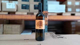 Novel Wines Explorers Club  Tilia Estate Zelen 2022 Slovenia [upl. by Anitap]