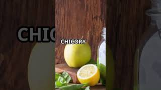 Chicory The Ancient Healing Herb shorts [upl. by Farmann687]