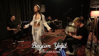 Begüm Yiğit Live Sessions  Ayva Çiçek Açmış Sevdiğim Türküler [upl. by Sidoon]