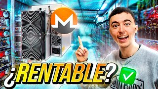 ¿Es Buena Idea Minar Monero 🤫 Nuevo ASIC De Monero X5  Análisis Monero Completo [upl. by Ettennyl]