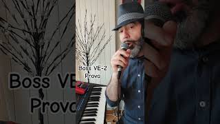 Boss VE2 vocal harmonist  prova [upl. by Babbette]