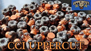 CCI UPPERCUT  THE BEST 22LR SELFDEFENSE AMMO EVER MADE [upl. by Netsrik507]