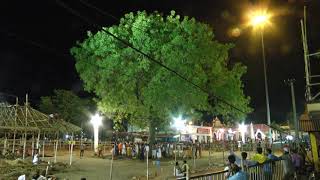 Daru of Shree Jagannath in Nabakalebara  2015 [upl. by Aek]