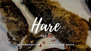 Burrow Your Way to Flavour Mastering Rabbit amp Hare With Jose Souto in a Game Masterclass Part 5 [upl. by Ainotal571]