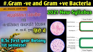 Gram positive and Gram negative Bacteria  difference between gram ve and Gram Ve bacteria [upl. by Trainor]