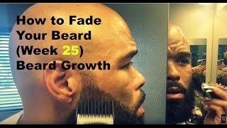 How to grow a Full and Thicker Beard week 25 Beard Fade Tutorial [upl. by Oesile]