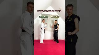 Choose Your Cobra Kai Character  Miguel Diaz shorts cobrakai martialarts [upl. by Anowahs]