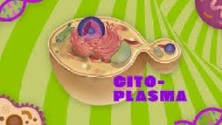 CITOPLASMA  CITOLOGIA  COM TINOSSY [upl. by Tyler]