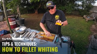 How to Fillet Whiting with Paul Chew  Fillet Skin and Bone Whiting [upl. by Noterb]